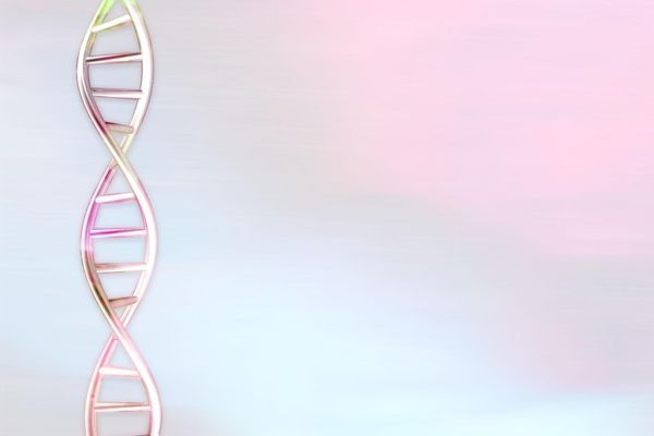 IUI Treatment Indore