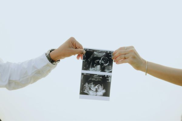 IVF Success Path