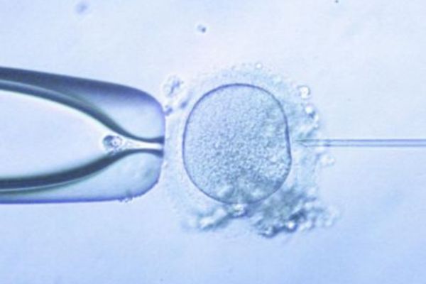 IVF Clinic Standards